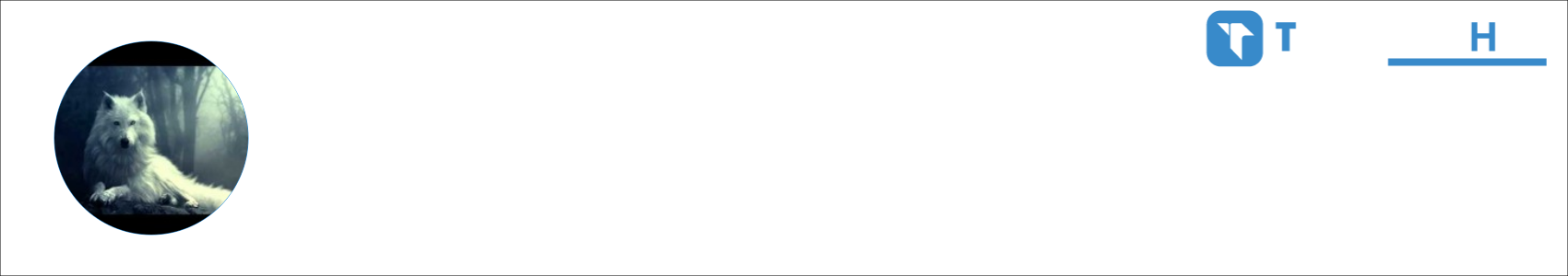 Lille Activity Banner