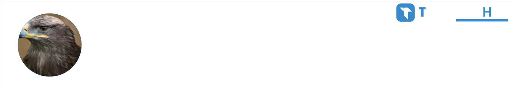 Falke Activity Banner