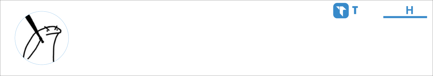 Fizzness Activity Banner