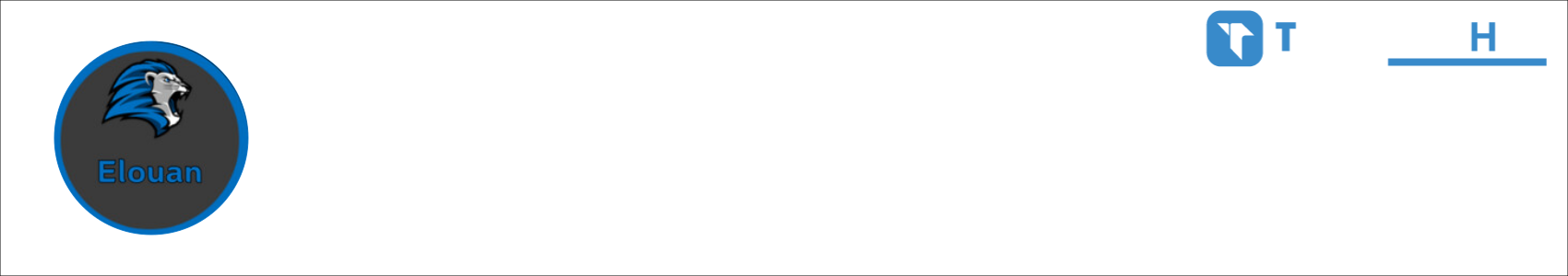 gmevel29 Activity Banner