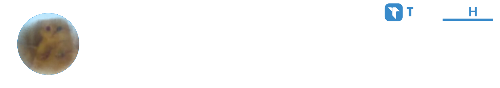 Dimplton Activity Banner