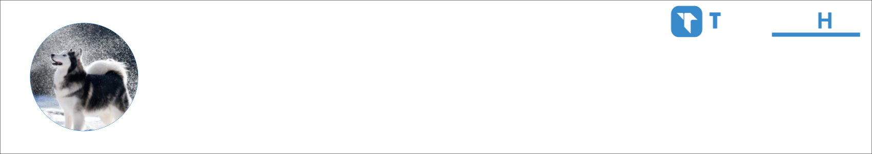 Husky970303 Activity Banner