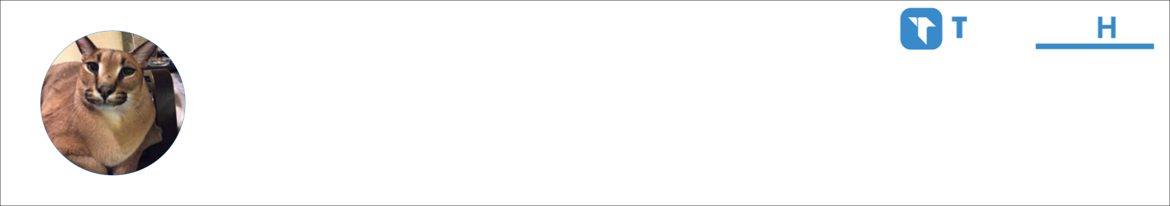 Busuioc Activity Banner