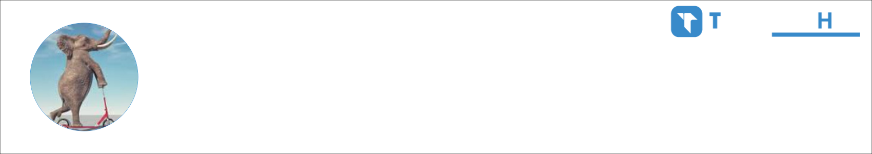 Insane Elephant from Colorado Activity Banner