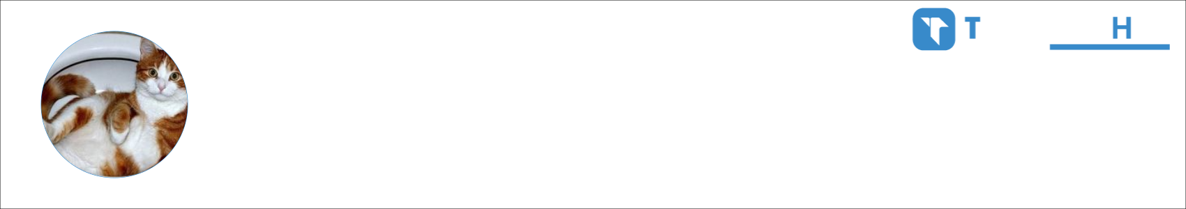 Marianne Activity Banner