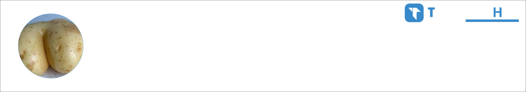 BATATA Activity Banner