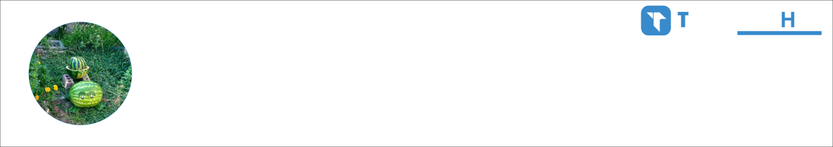 Novis. Activity Banner