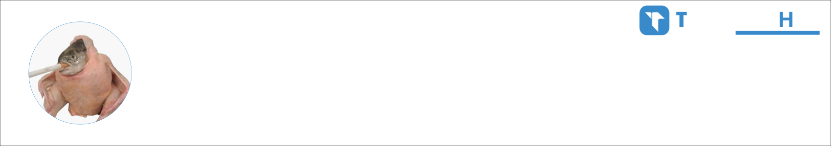 Dr. Deplorable Activity Banner