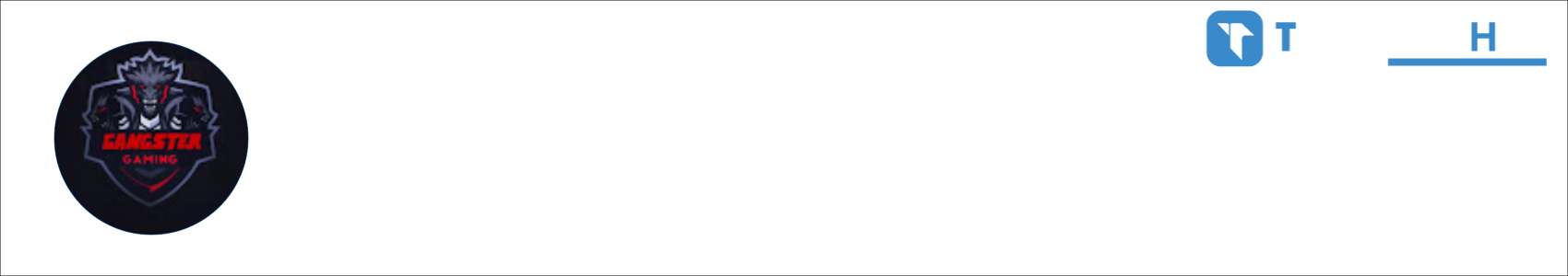 GANGSTER GAMING Activity Banner