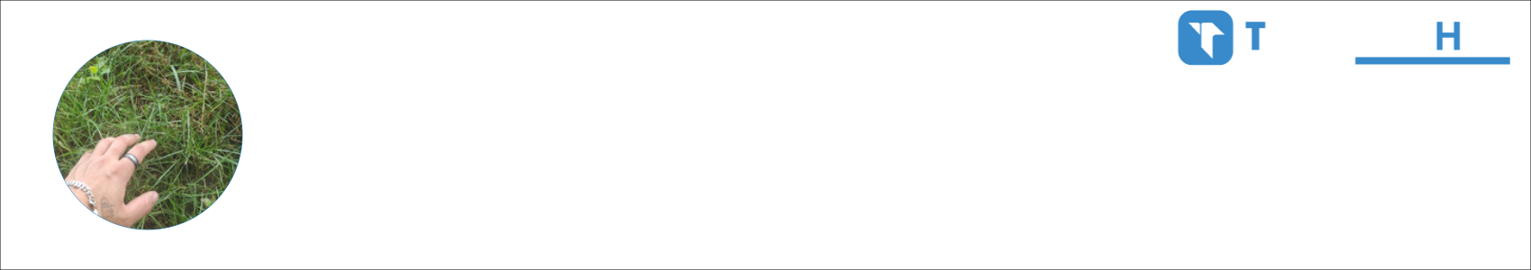 cheeseballs Activity Banner