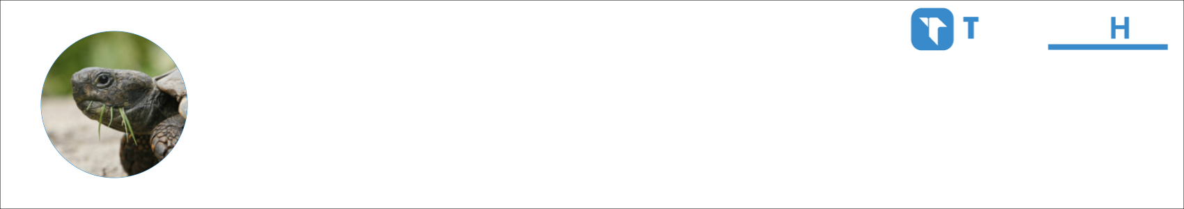 TacticalTurtle Activity Banner