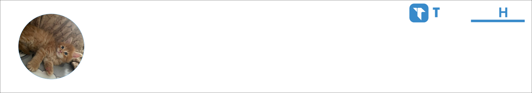 Котек Activity Banner