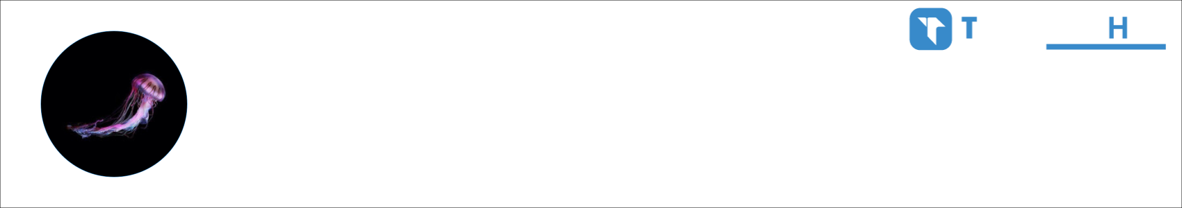 𓆩Lilly𓆪⁣𓆩Stein𓆪 Activity Banner