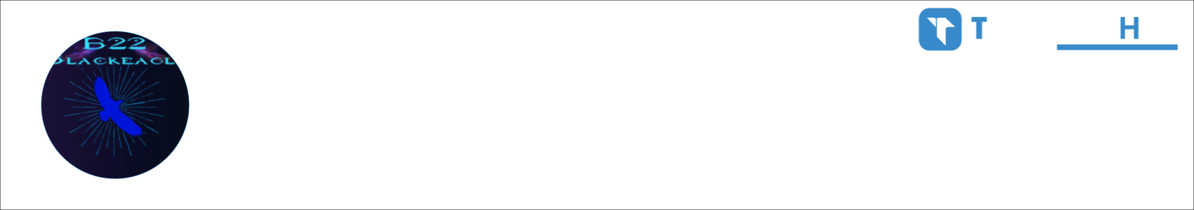 B22 Blackeagle Activity Banner