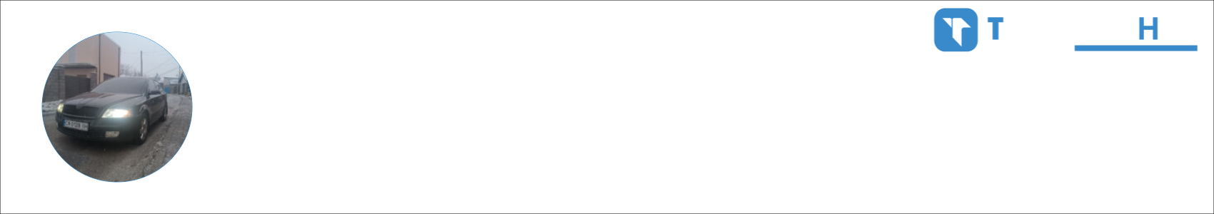 skoda.octavia.a5 2.0tdi Activity Banner