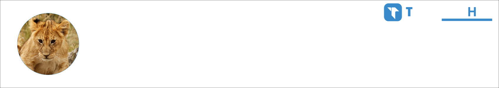 Lvíček1 Activity Banner