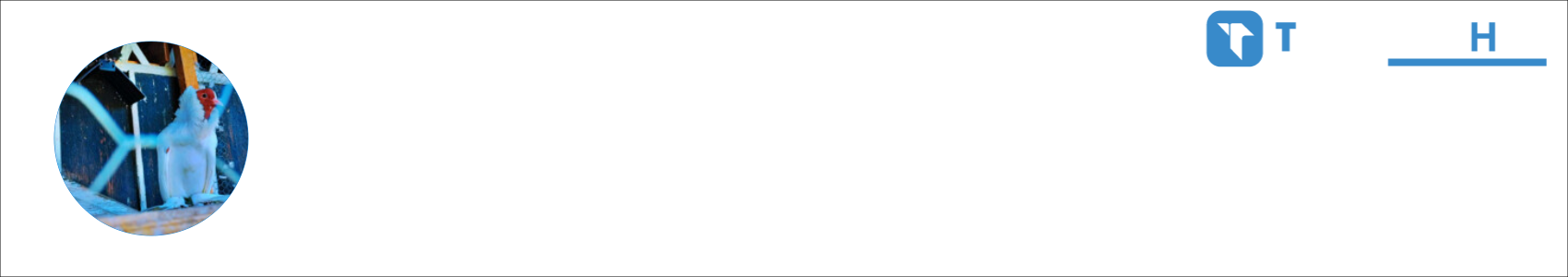 Porumbei Activity Banner