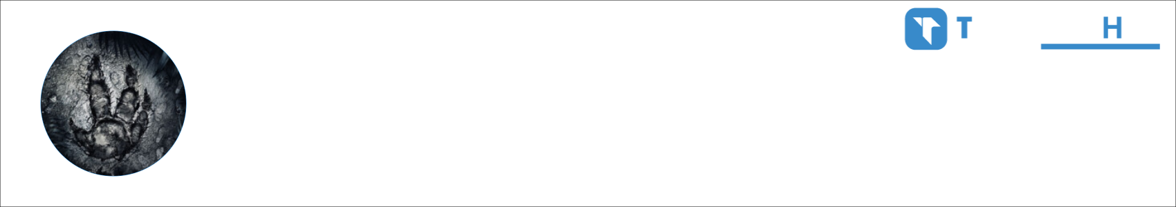 Kat3rock Activity Banner