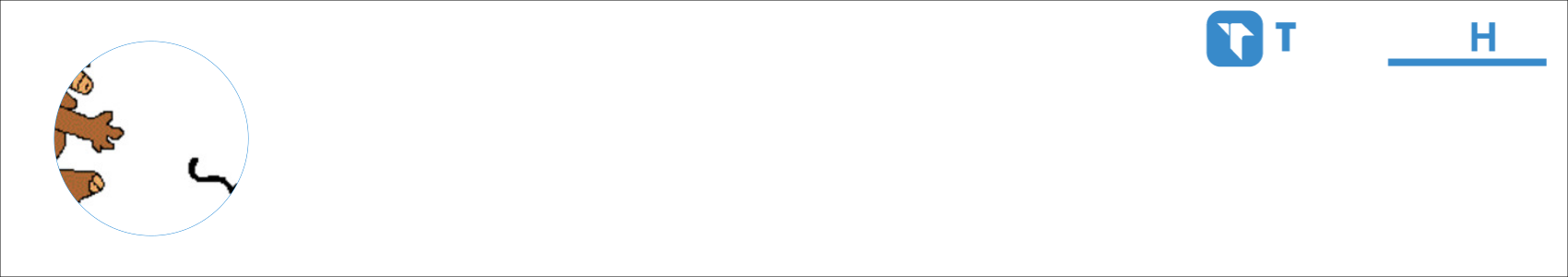 stegelmannj Activity Banner