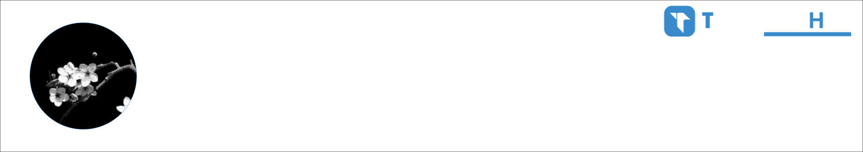 mastv0 Activity Banner