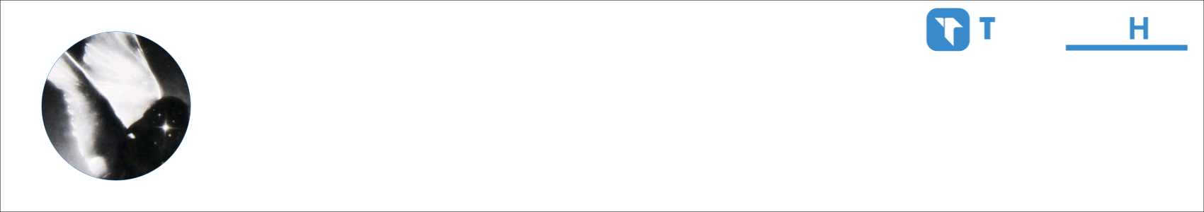 yyenvy Activity Banner