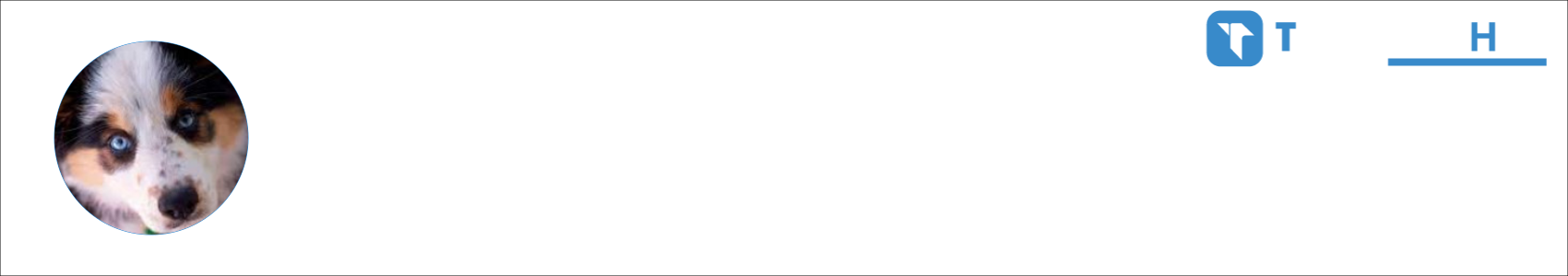 The Abrev Activity Banner