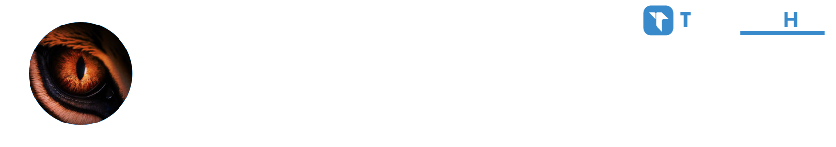 RIBAS Activity Banner