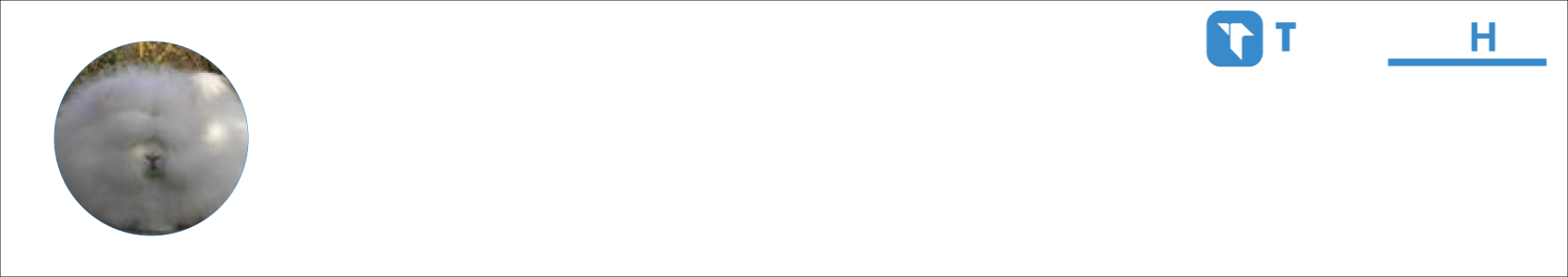 Atriana2021 Activity Banner