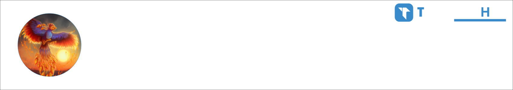 FenixDS Activity Banner