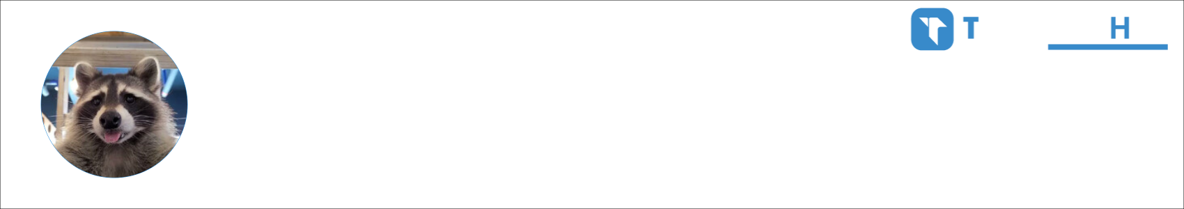 Raccoon Activity Banner