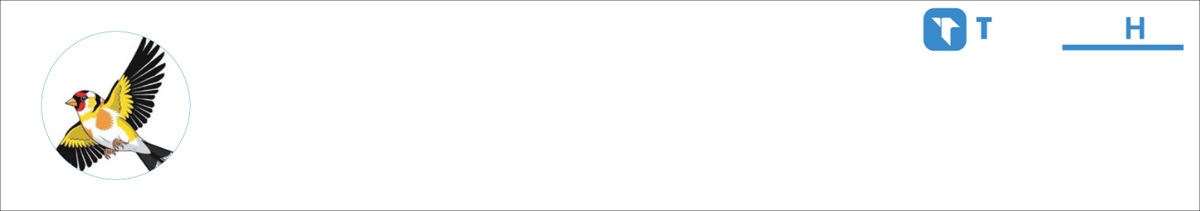 Selim Activity Banner