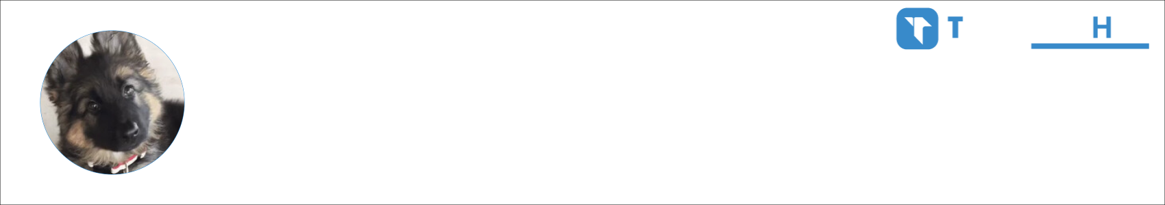 wuzzless Activity Banner