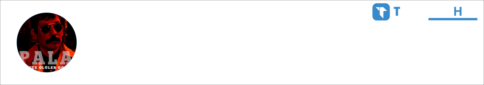 P.A.L.A Activity Banner