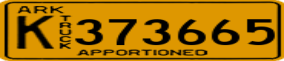 Truck License Plate