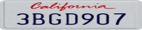 Truck License Plate