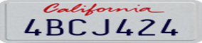 Truck License Plate