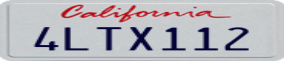 Truck License Plate