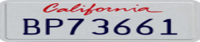 Truck License Plate