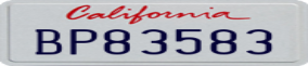 Truck License Plate