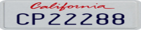 Truck License Plate