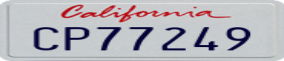 Truck License Plate