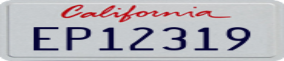 Truck License Plate