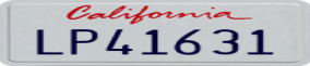 Truck License Plate