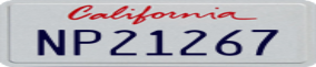 Truck License Plate