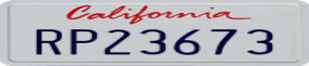 Truck License Plate
