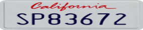 Truck License Plate
