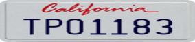 Truck License Plate