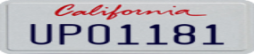 Truck License Plate