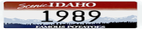Truck License Plate