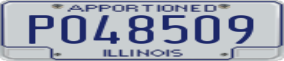 Truck License Plate